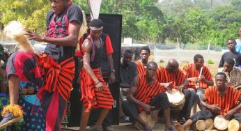 Idoma names and meanings (UPDATED)