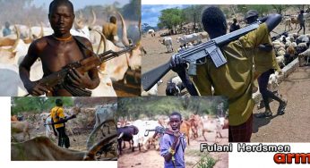 BREAKING: Agatu on fire as herdsmen kill 15 in fresh attacks
