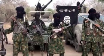 Boko Haram: Insurgents demolish village in Adamawa