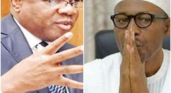 2019: Agbakoba reveals what’ll happen if Buhari is re-elected, calls all Nigerian governors thieves