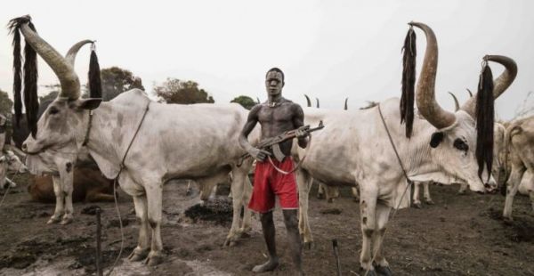 How suspected herdsmen killed four in Delta