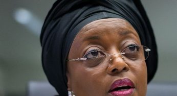 Court gives 72 hours to EFCC, DSS to arrest Diezani Alison