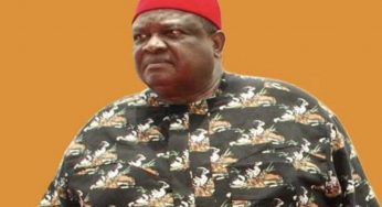 9th Assembly: Why South-East won’t beg for positions – Iwuanyanwu