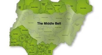 Why Southern Kaduna killings linger – Middle Belt Forum