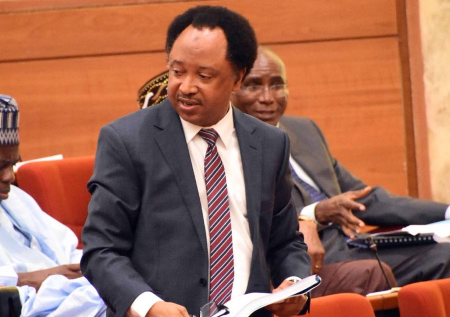 Why tourists shouldn’t come to Kaduna – Senator Shehu