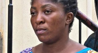 Court grants bail to woman who claimed snake “stole” JAMB’s N35 million, give reasons
