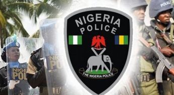 Benue police arrest, release names, details of 18 notorious cultists, kidnappers, robbers