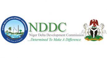 Why Senate confirmed Buhari’s 15 NDDC board nominees, rejected Nunieh