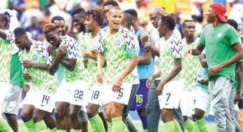 Nations Cup 2019: Rohr reveals Nigeria goalkeeper that’ll start against Guinea