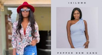 BBNaija 2019: Why Avala, Isilomo were evicted