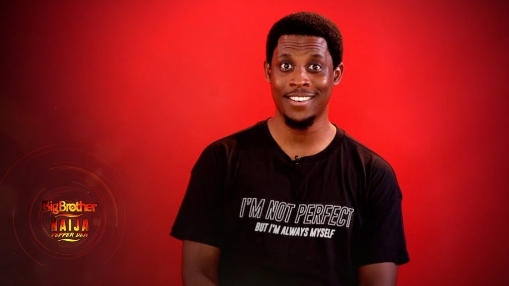 BBNaija All Stars: Lagos govt knocks Seyi Awolowo over harmful comment