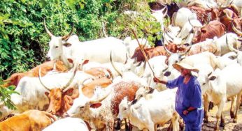 The permanent expansionist threat of the Fulani