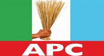 Stop daydreaming of one-party state, third term in Nigeria – CUPP tells APC