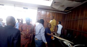 JUST IN: Live snake chase away Ondo lawmakers during plenary (Photo)