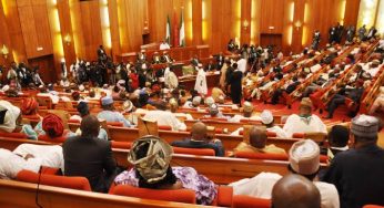 Lawyers attack Senate over Edo Assembly crisis