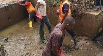 Benue flood: Before government comes (Opinion)