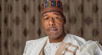 RUGA: Gov. Umara donates Sambisa forest for Fulani settlement