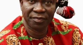 Attack on Ekweremadu is an abomination – Ndi-Igbo in Germany apologises