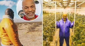 ‘I smoke $40,000 worth of cannabis monthly’ – Mike Tyson