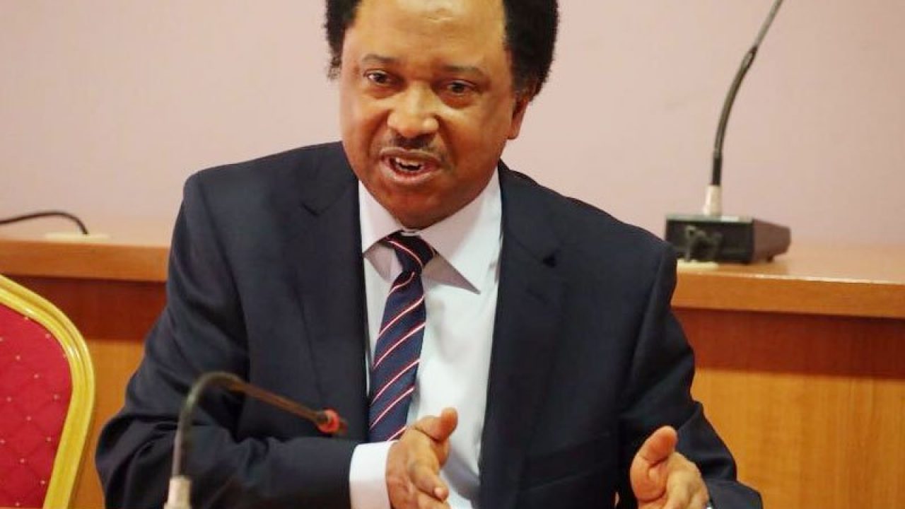 2023: Shehu Sani speaks on APC ending with Buhari