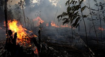 G7 Summit: Brazil rejects $20m aid to fight Amazon fires, give reasons