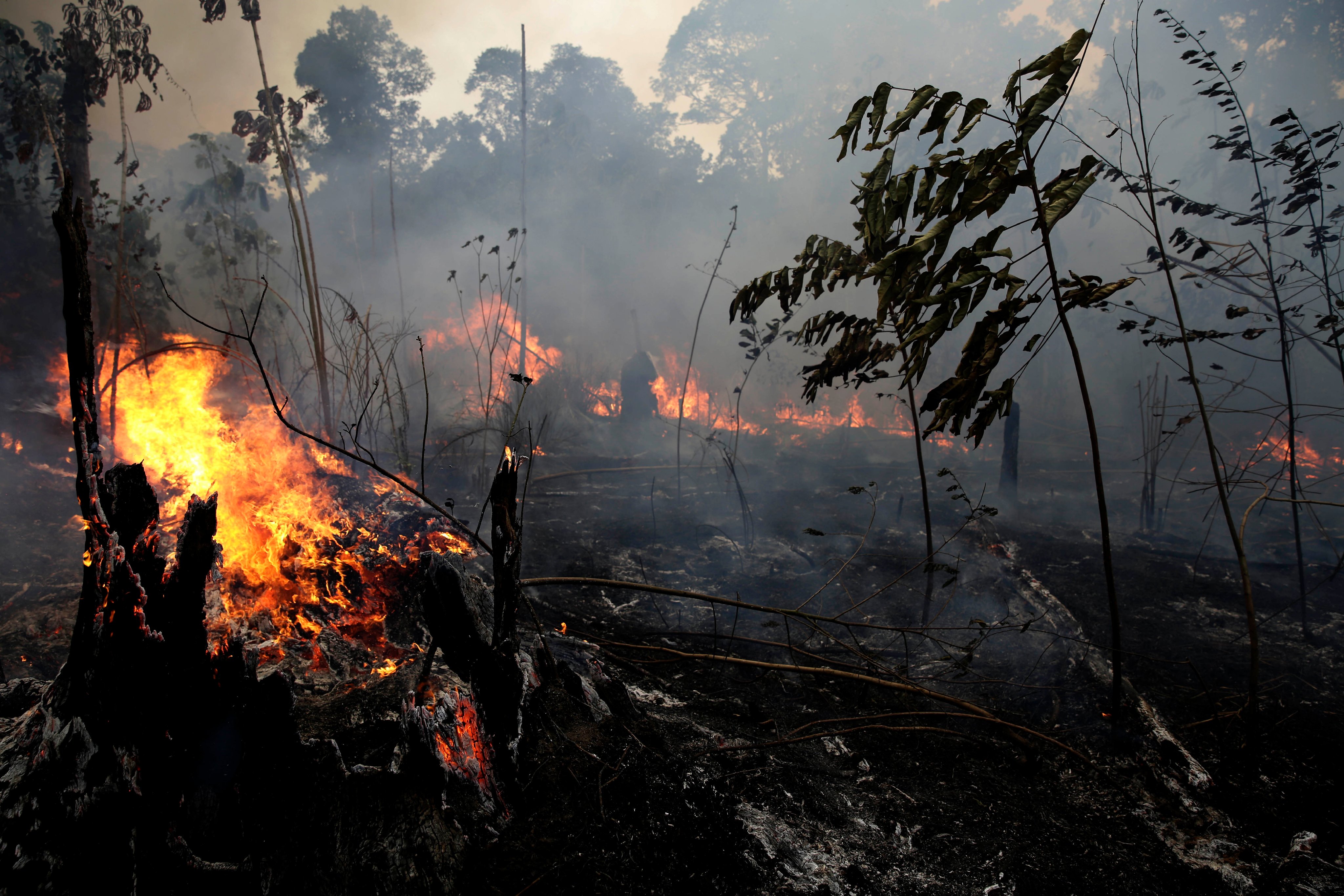 G7 Summit: Brazil rejects $20m aid to fight Amazon fires, give reasons