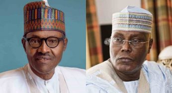 Beware of Atiku, he’ll shield killer herders more than Buhari – Nigerians warned