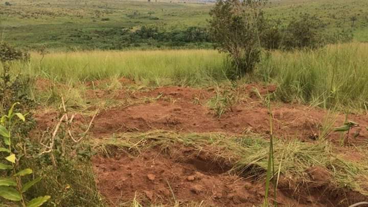 Mass grave of kidnap victims discovered in Benue