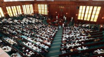 House of Reps okays bill for VAT increase