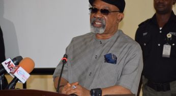 Why electricity unions cannot use power play to punish Nigeria – Ngige