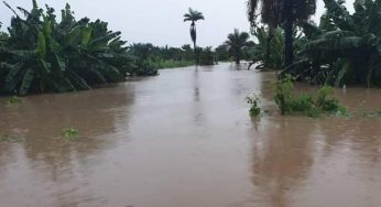 Flood kills Polytechnic graduate