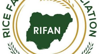 Why border closure is good omen for Nigeria’s economy – RIFAN