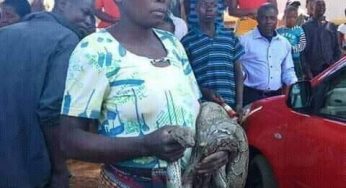 Woman turns husband to big snake in Zambian community