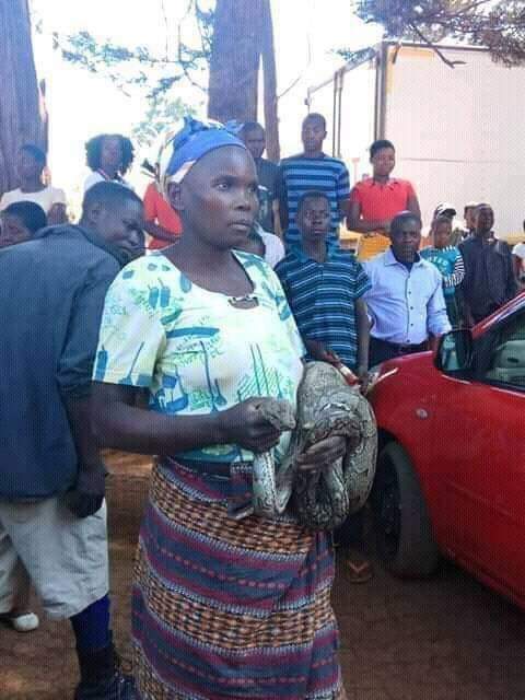 Woman turns husband to big snake in Zambian community