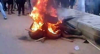 Irate mob burns two suspected armed robbers to death