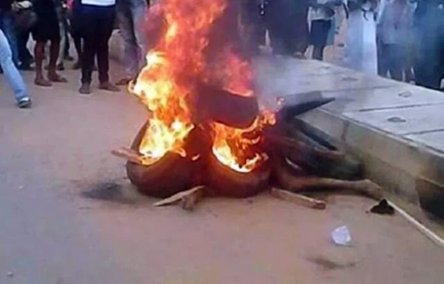 Irate mob burns two suspected armed robbers to death