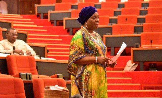 insecurity: We have never had it so bad – Sen. Olujimi