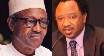 Why 8th NASS rejected Buhari’s $30 billion loan request – Shehu Sani