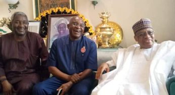 IBB not dead