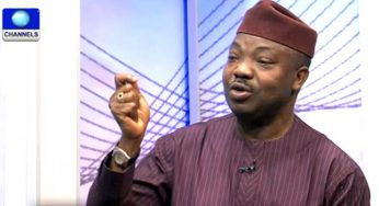 Why we can’t stage occupy Nigeria protest now – Odumakin