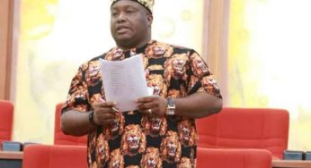 Court sacks Sen. Ifeanyi Ubah of YPP over certificate forgery