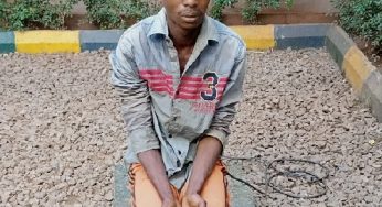 ‘I only did one round’ – Fulani herdsman who raped woman to death in Ebonyi