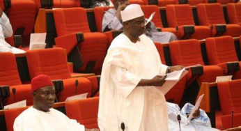 Sen. Ali Ndume reintroduces peace corps bill at senate