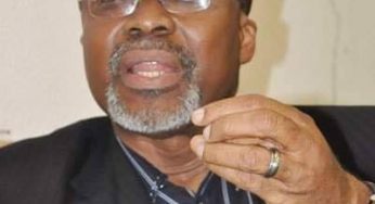 Why there is nothing called “the North” – Sen Abaribe