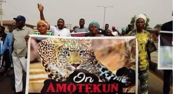 Why FG, South-West Governors agreed to formalise Amotekun