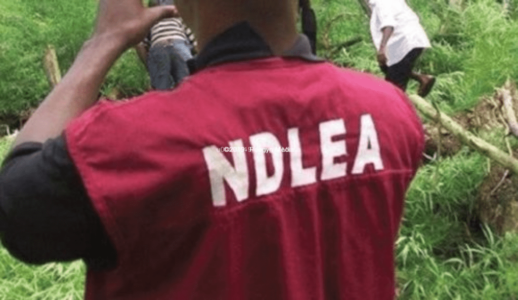 NDLEA arrests 201 suspected criminals