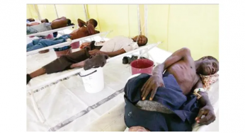 Lassa fever hits Idoma community, suspected case confirmed in Okpoga