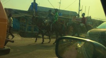 Lagosians resort to horse after ban on keke, okada (PHOTO)