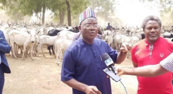 Gov. Ortom charges livestock guards to impound any livestock grazing openly