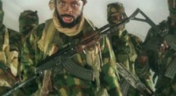 Boko Haram kill 2 soldiers, burn down NEDC boss’ home, 5 churches, others in Adamawa